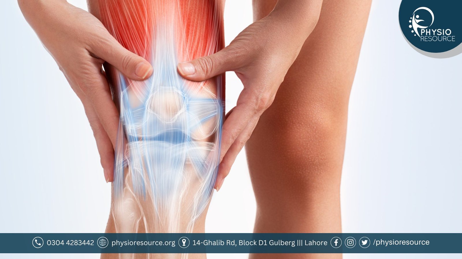 knee joint anatomy